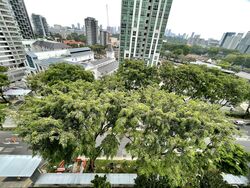Trilight (D11), Condominium #346068831